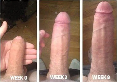 3b06c6f5-68d2-4115-954d-3e93ca69095d-1